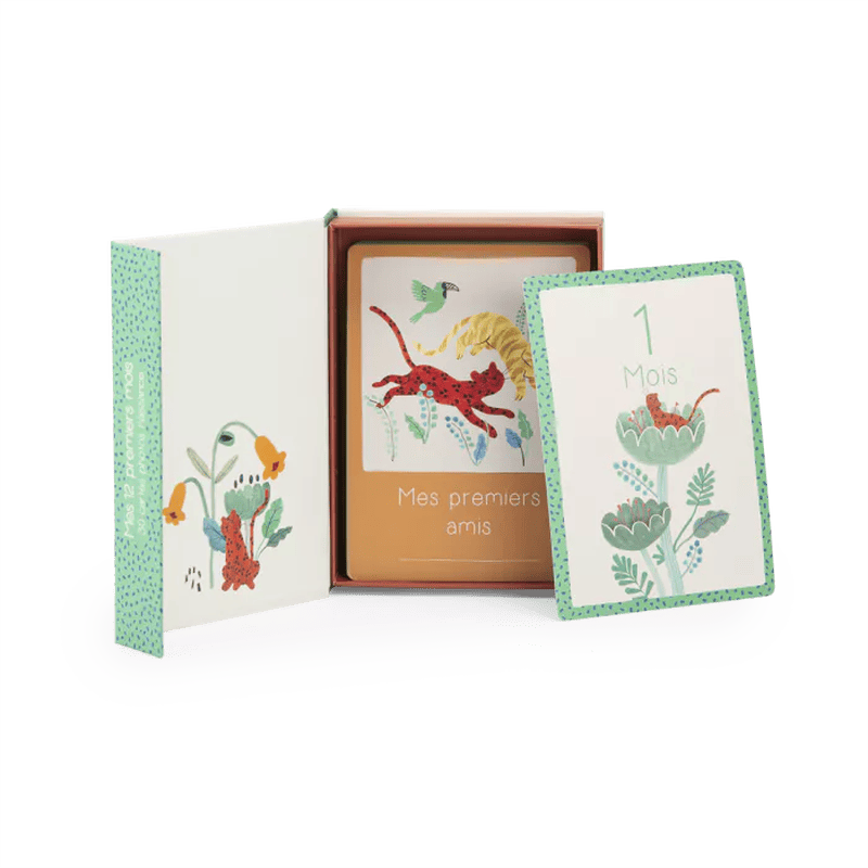 Cartes Mes 12 Premiers Mois La Forêt Mawa – coffret 30 cartes illustrées pour immortaliser chaque étape de la première année de bébé – Moulin Roty – La Maison de Zazou – Rennes