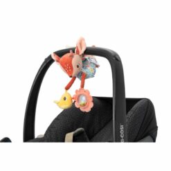 acti nomade - stella le faon - lilliputiens - la maison de zazou - rennes