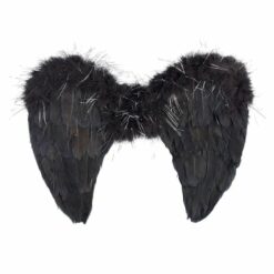 ailes nyx noires - souza - la maison de zazou -rennes