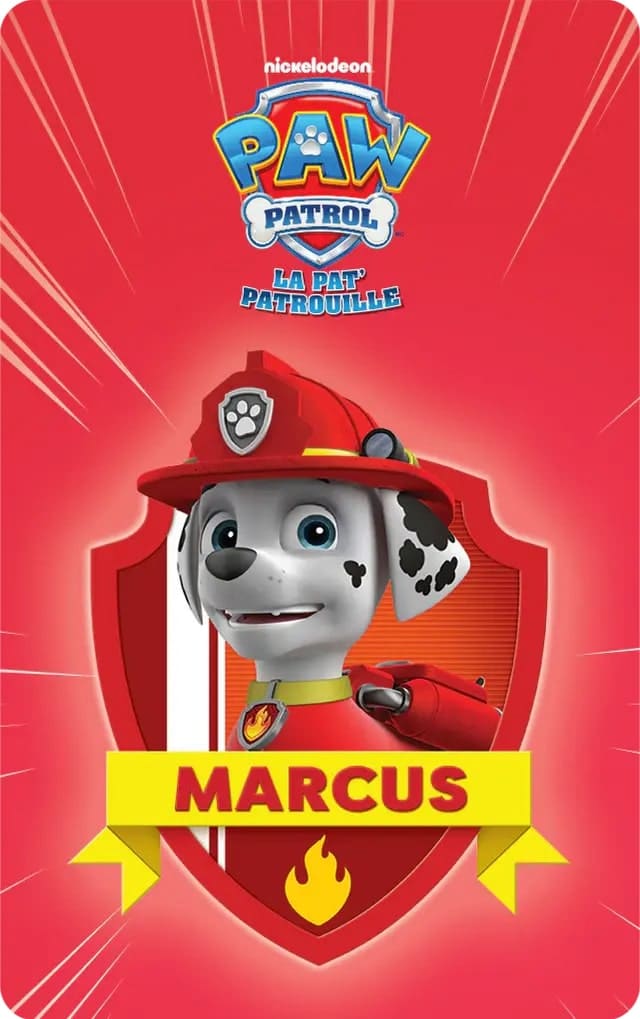 collection-la-pat-patrouille-carte-audio-yoto-la-maison-de-zazou-rennes-1 carte audio yoto - la pat patrouille - la maison de zazou