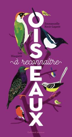 Oiseaux a Reconnaitre, Gallimard Jeunesse