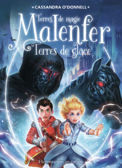 Malenfer - Malenfer - vol05 - Terres de Glace, Flam Jeunesse