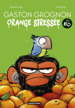Gaston Grognon en BD - Orange Stressee, Casterman