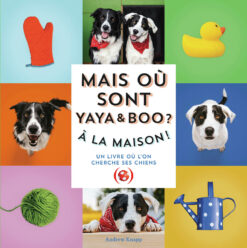 Mais ou Sont Yaya et boo ? a la Maison !, Grandes Personne