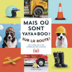 Mais ou Sont Yaya et boo ? sur la Route - un Livre ou l'on Cherche ses Chiens, Grandes Personne