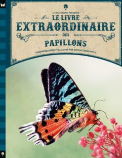Le Livre Extraordinaire des Papillons, Little Urban