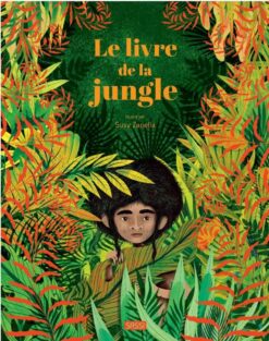 Le Livre de la Jungle, Sassi