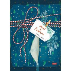 Noel a l'envers !, Sassi