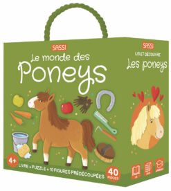 Q-box - le Monde des Poneys - Puzzle, Sassi