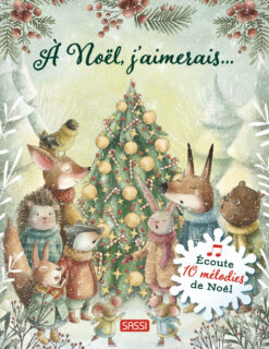 A Noel, j'aimerais, Sassi