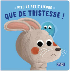 Pito le Petit Lievre - que de Tristesse !, Sassi