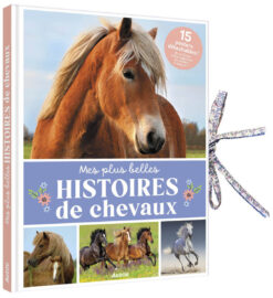 Livre-Poster : mes Histoires de Chevaux, Auzou